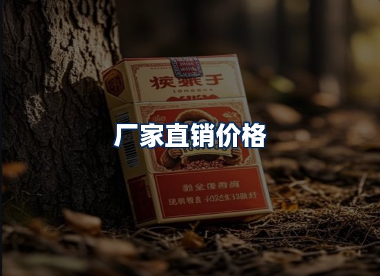 专业团队办公环境